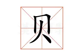 贝内文托零封对手，迎来胜利曙光